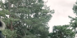extant_HouseOfTheDragon_2x04_TheRedDragonAndTheGold_3810