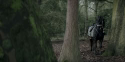 extant_HouseOfTheDragon_2x04_TheRedDragonAndTheGold_3856