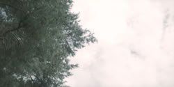 extant_HouseOfTheDragon_2x04_TheRedDragonAndTheGold_3932