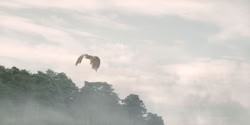 extant_HouseOfTheDragon_2x04_TheRedDragonAndTheGold_3958
