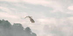 extant_HouseOfTheDragon_2x04_TheRedDragonAndTheGold_3960