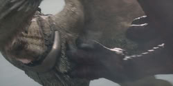 extant_HouseOfTheDragon_2x04_TheRedDragonAndTheGold_4091