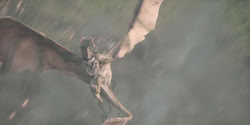 extant_HouseOfTheDragon_2x04_TheRedDragonAndTheGold_4095