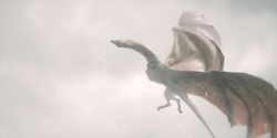 extant_HouseOfTheDragon_2x04_TheRedDragonAndTheGold_4117