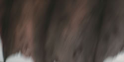 extant_HouseOfTheDragon_2x04_TheRedDragonAndTheGold_4223