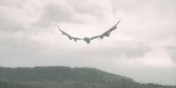 extant_HouseOfTheDragon_2x04_TheRedDragonAndTheGold_4225