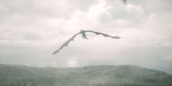 extant_HouseOfTheDragon_2x04_TheRedDragonAndTheGold_4233