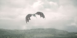 extant_HouseOfTheDragon_2x04_TheRedDragonAndTheGold_4234