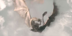 extant_HouseOfTheDragon_2x04_TheRedDragonAndTheGold_4264
