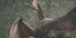 extant_HouseOfTheDragon_2x04_TheRedDragonAndTheGold_4275