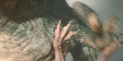 extant_HouseOfTheDragon_2x04_TheRedDragonAndTheGold_4390