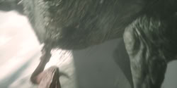 extant_HouseOfTheDragon_2x04_TheRedDragonAndTheGold_4391
