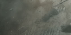 extant_HouseOfTheDragon_2x04_TheRedDragonAndTheGold_4440