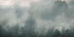 extant_HouseOfTheDragon_2x04_TheRedDragonAndTheGold_4487