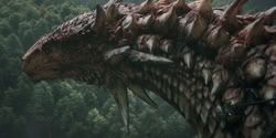 extant_HouseOfTheDragon_2x04_TheRedDragonAndTheGold_4516