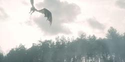 extant_HouseOfTheDragon_2x04_TheRedDragonAndTheGold_4527