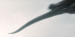 extant_HouseOfTheDragon_2x04_TheRedDragonAndTheGold_4533