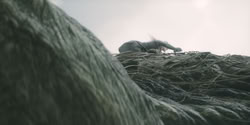extant_HouseOfTheDragon_2x04_TheRedDragonAndTheGold_4662