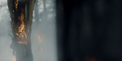 extant_HouseOfTheDragon_2x04_TheRedDragonAndTheGold_4882