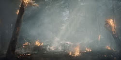 extant_HouseOfTheDragon_2x04_TheRedDragonAndTheGold_4975