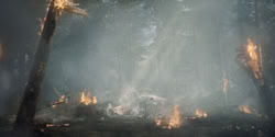 extant_HouseOfTheDragon_2x04_TheRedDragonAndTheGold_4976