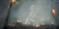 extant_HouseOfTheDragon_2x04_TheRedDragonAndTheGold_4977