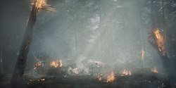 extant_HouseOfTheDragon_2x04_TheRedDragonAndTheGold_4979