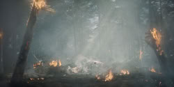 extant_HouseOfTheDragon_2x04_TheRedDragonAndTheGold_4980