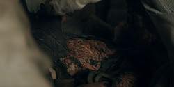 extant_HouseOfTheDragon_2x05_Regent_0606