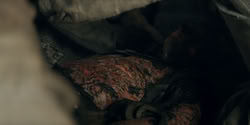 extant_HouseOfTheDragon_2x05_Regent_0608