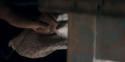 extant_HouseOfTheDragon_2x06_Smallfolk_3482