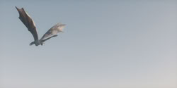 extant_HouseOfTheDragon_2x06_Smallfolk_5419