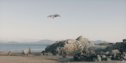 extant_HouseOfTheDragon_2x06_Smallfolk_5422