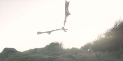 extant_HouseOfTheDragon_2x06_Smallfolk_5436