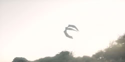 extant_HouseOfTheDragon_2x06_Smallfolk_5437