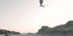 extant_HouseOfTheDragon_2x06_Smallfolk_5440