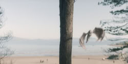 extant_HouseOfTheDragon_2x06_Smallfolk_5477