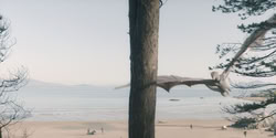 extant_HouseOfTheDragon_2x06_Smallfolk_5478