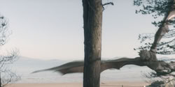 extant_HouseOfTheDragon_2x06_Smallfolk_5479