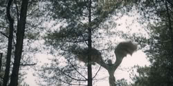 extant_HouseOfTheDragon_2x06_Smallfolk_5484