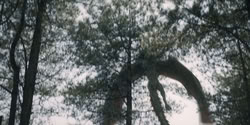 extant_HouseOfTheDragon_2x06_Smallfolk_5485