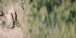 extant_HouseOfTheDragon_2x06_Smallfolk_5494