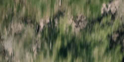 extant_HouseOfTheDragon_2x06_Smallfolk_5495