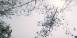 extant_HouseOfTheDragon_2x06_Smallfolk_5502
