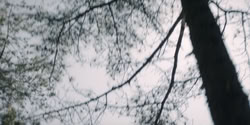 extant_HouseOfTheDragon_2x06_Smallfolk_5503