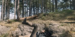 extant_HouseOfTheDragon_2x06_Smallfolk_5506