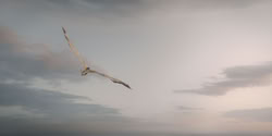 extant_HouseOfTheDragon_2x06_Smallfolk_6126