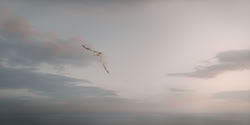 extant_HouseOfTheDragon_2x06_Smallfolk_6129