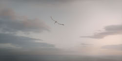 extant_HouseOfTheDragon_2x06_Smallfolk_6131