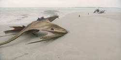 extant_HouseOfTheDragon_2x07_TheRedSowing_0120
